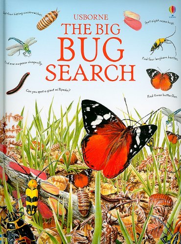 9780794527242: The Big Bug Search (Great Searches)