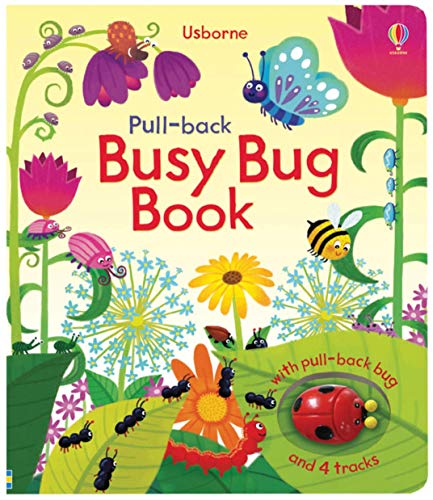 9780794529413: Busy Bug Book (Pull-Back Books)