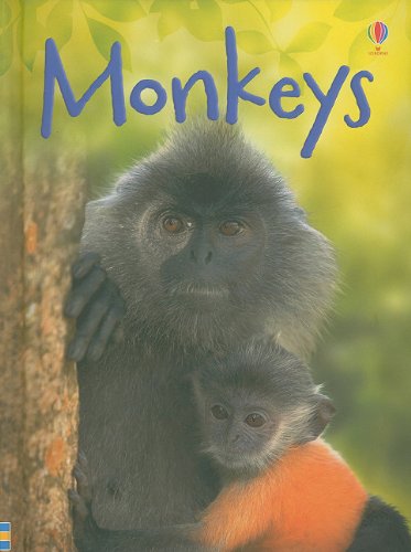 Stock image for Monkeys (Usborne Beginners) for sale by Gulf Coast Books