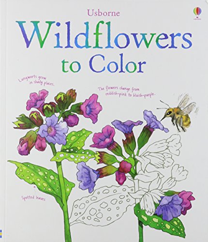 Beispielbild fr Wildflowers to Color zum Verkauf von Off The Shelf