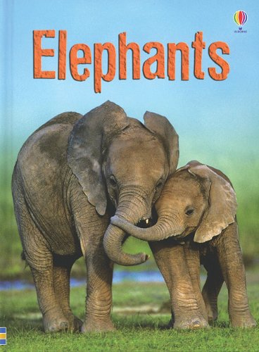 Beispielbild fr Elephants (Usborne Beginners) zum Verkauf von Gulf Coast Books