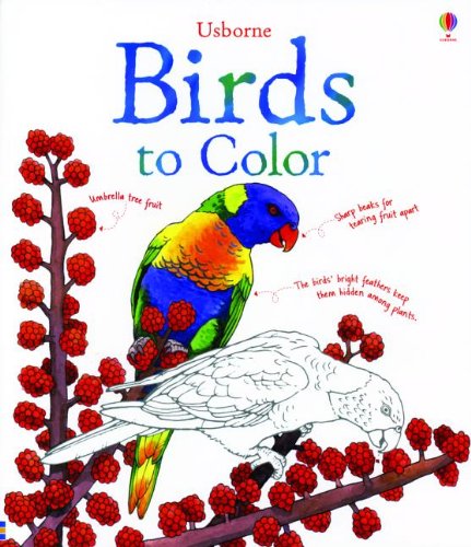Beispielbild fr Birds to Color zum Verkauf von ThriftBooks-Dallas