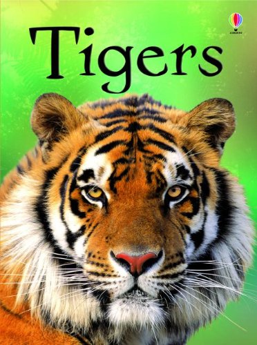 Beispielbild fr Tigers IR zum Verkauf von Better World Books