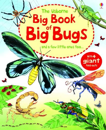 9780794533007: The Usborne Big Book of Big Bugs: And a Few Little Ones Too...