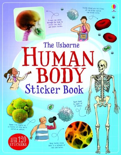 Stock image for Human Body Sticker Book (Science Sticker Books) for sale by Decluttr
