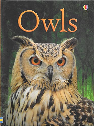 Imagen de archivo de Owls (Usborne Beginners) a la venta por Reliant Bookstore