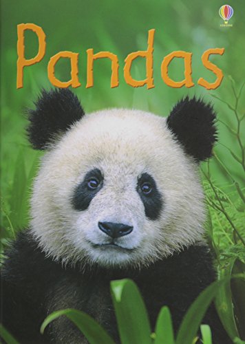 9780794534097: Pandas - Usborne Beginners Reader