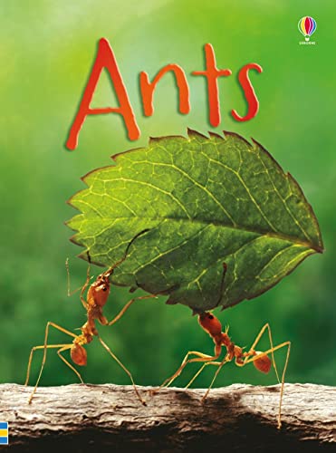 Imagen de archivo de Ants IR a la venta por HPB-Ruby
