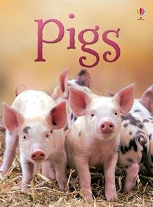 Stock image for Pigs - IR for sale by ThriftBooks-Dallas