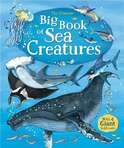 Stock image for The Usborne Big Book of Sea Creatures for sale by New Legacy Books