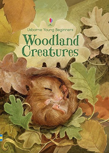 Stock image for Woodland Creatures (Usborne Young Beginners) for sale by SecondSale