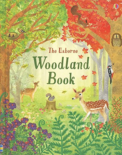 Beispielbild fr Usborne Woodland Book zum Verkauf von Your Online Bookstore