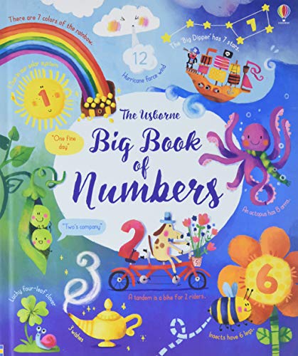 Stock image for Big Book of Numbers for sale by Eighth Day Books, LLC
