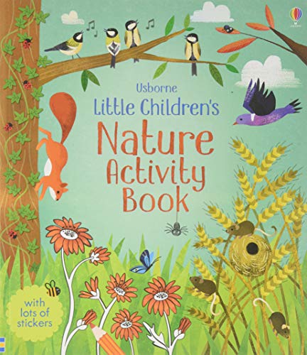 Imagen de archivo de Little Children's Nature Activity Book a la venta por Half Price Books Inc.