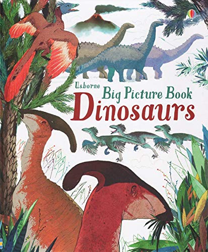 Beispielbild fr Big Picture Book Dinosaurs zum Verkauf von HPB-Ruby