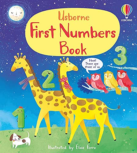 Imagen de archivo de First Numbers Book a la venta por SecondSale