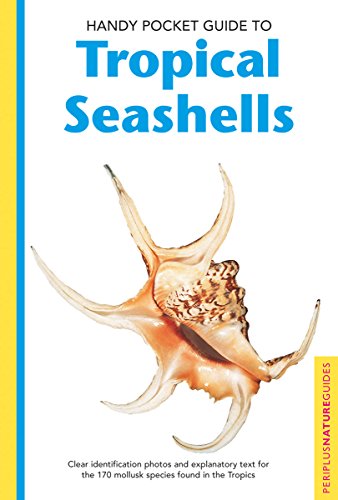 Stock image for Handy Pocket Guide to Tropical Seashells for sale by ThriftBooks-Dallas