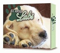 All About Labs (9780794833008) by Whitman Publishing