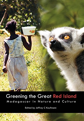 9780798301817: Oil Paradox: Reflections On, the: Madagascar in nature and culture