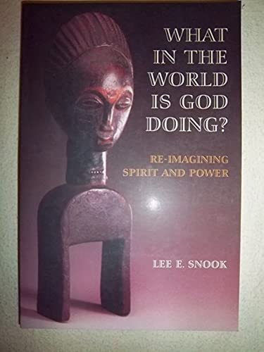 Stock image for What in the World Is God Doing? : Re-Imagining Spirit and Power for sale by Better World Books