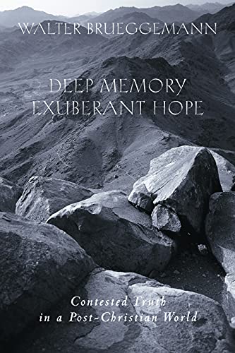 Beispielbild fr Deep Memory, Exuberant Hope: Contested Truth in a Post-Christian World zum Verkauf von Wonder Book