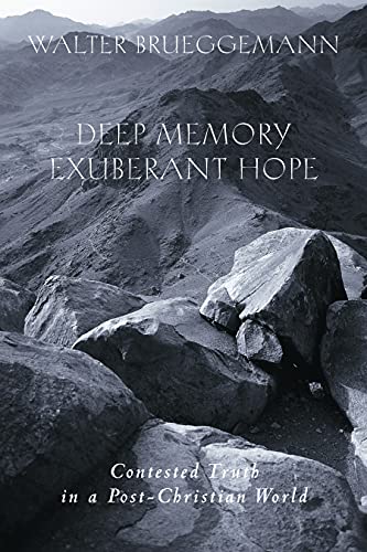 Stock image for Deep Memory, Exuberant Hope: Contested Truth in a Post-Christian World for sale by Wonder Book