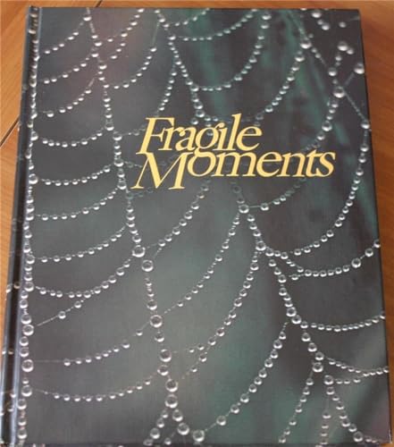 9780800711764: Fragile Moments: When God Speaks in Whispers