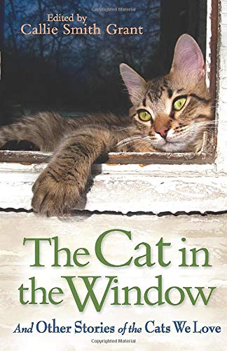 Stock image for The Cat in the Window: And Other Stories Of The Cats We Love for sale by SecondSale