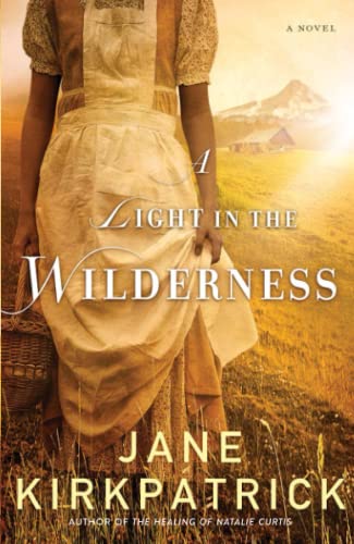 Imagen de archivo de A Light in the Wilderness: A Novel a la venta por SecondSale