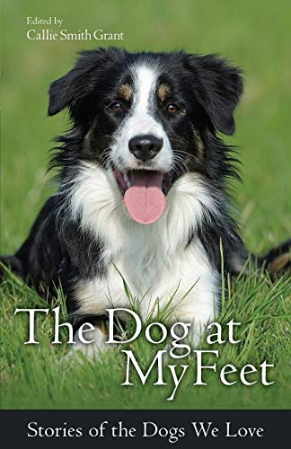 Beispielbild fr The Dog at My Feet: Stories of the Dogs We Love zum Verkauf von AwesomeBooks