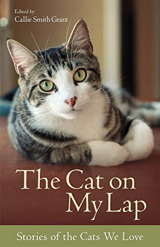 Beispielbild fr The Cat On My Lap: Stories Of The Cats We Love (2007 Copyright) zum Verkauf von ~Bookworksonline~