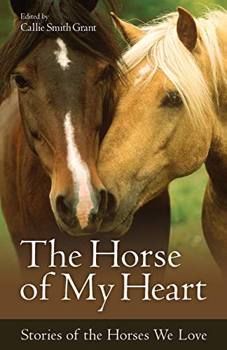 Stock image for The Horse of My Heart: Stories of the Horses We Love for sale by SecondSale