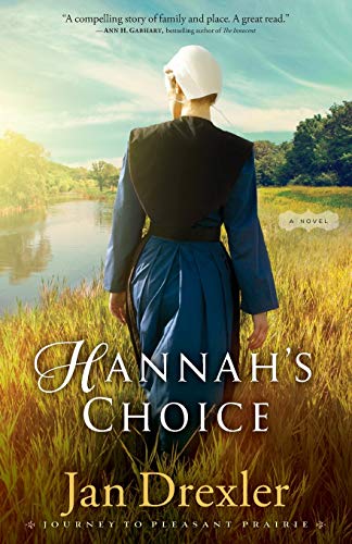 Beispielbild fr Hannah's Choice: A Novel zum Verkauf von Gulf Coast Books