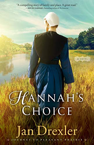 Stock image for Hannah's Choice: A Novel for sale by Gulf Coast Books