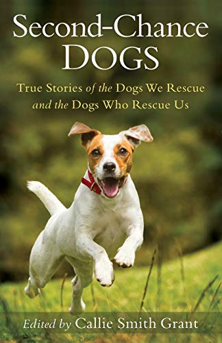 Beispielbild fr Second-Chance Dogs: True Stories of the Dogs We Rescue and the Dogs Who Rescue Us zum Verkauf von Wonder Book