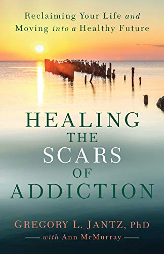 Beispielbild fr Healing the Scars of Addiction zum Verkauf von Wonder Book