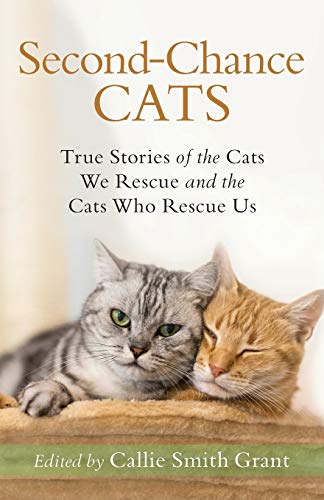 Stock image for Second-Chance Cats: True Stories of the Cats We Rescue and the Cats Who Rescue Us for sale by MI Re-Tale