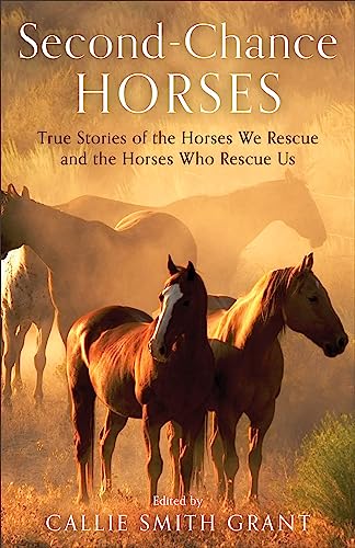 Stock image for Second-Chance Horses: True Stories of the Horses We Rescue and the Horses Who Rescue Us for sale by ThriftBooks-Dallas