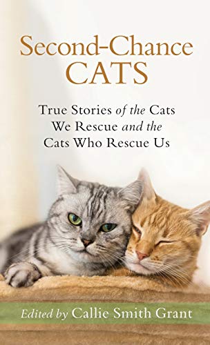 Stock image for Second-Chance Cats: True Stories of the Cats We Rescue and the Cats Who Rescue Us for sale by HPB-Emerald