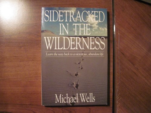 Beispielbild fr Sidetracked in the Wilderness zum Verkauf von Books of the Smoky Mountains