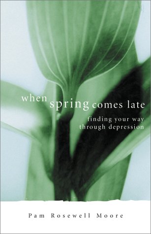 9780800792794: When Spring Comes Late: Finding Your Way Through Depression