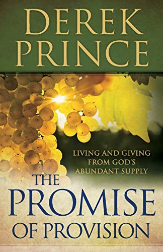 9780800795221: The Promise of Provision: Living and Giving from God's Abundant Supply