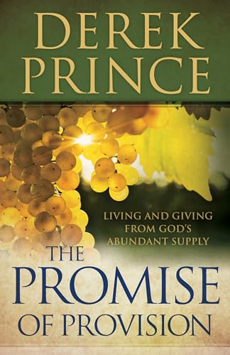 Imagen de archivo de The Promise of Provision: Living and Giving from Gods Abundant Supply a la venta por Goodwill Books