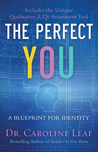 9780801015694: The Perfect You: A Blueprint for Identity