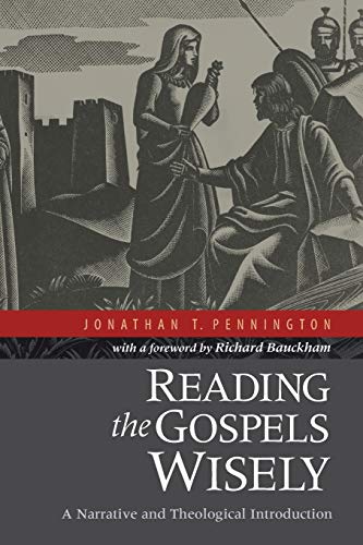 Reading the Gospels Wisely: A Narrative And Theological Introduction