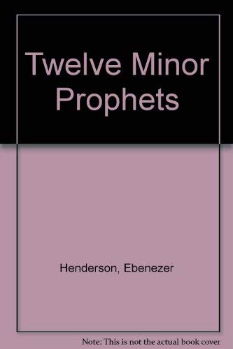 Imagen de archivo de Twelve Minor Prophets a la venta por Better World Books