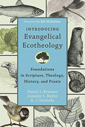 Imagen de archivo de Introducing Evangelical Ecotheology: Foundations in Scripture, Theology, History, and Praxis a la venta por Books From California