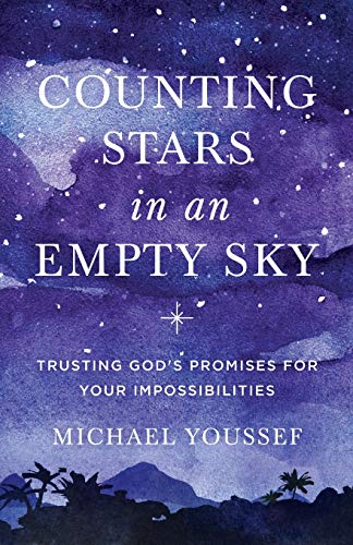 Imagen de archivo de Counting Stars in an Empty Sky: Trusting God's Promises for Your Impossibilities a la venta por SecondSale
