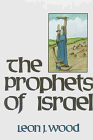 Beispielbild fr The Prophets of Israel zum Verkauf von Ergodebooks