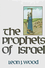 Stock image for The Prophets of Israel for sale by Ozark Book Peddler